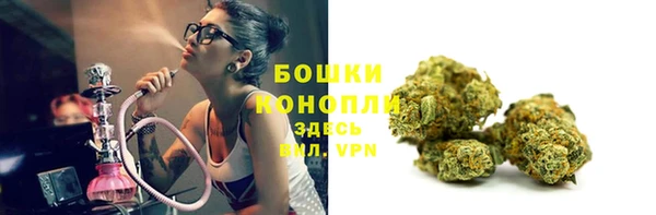 тгк Коряжма