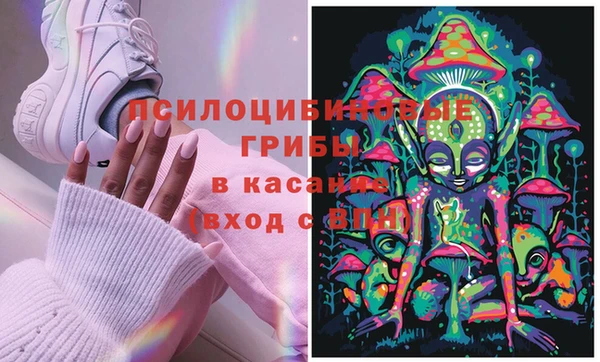 тгк Коряжма